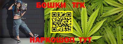 крисы Кунгур