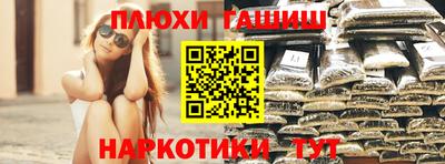 крисы Кунгур